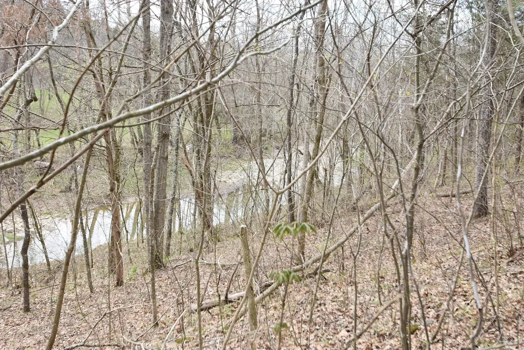 4555 Ky-433 Mackville KY 40040