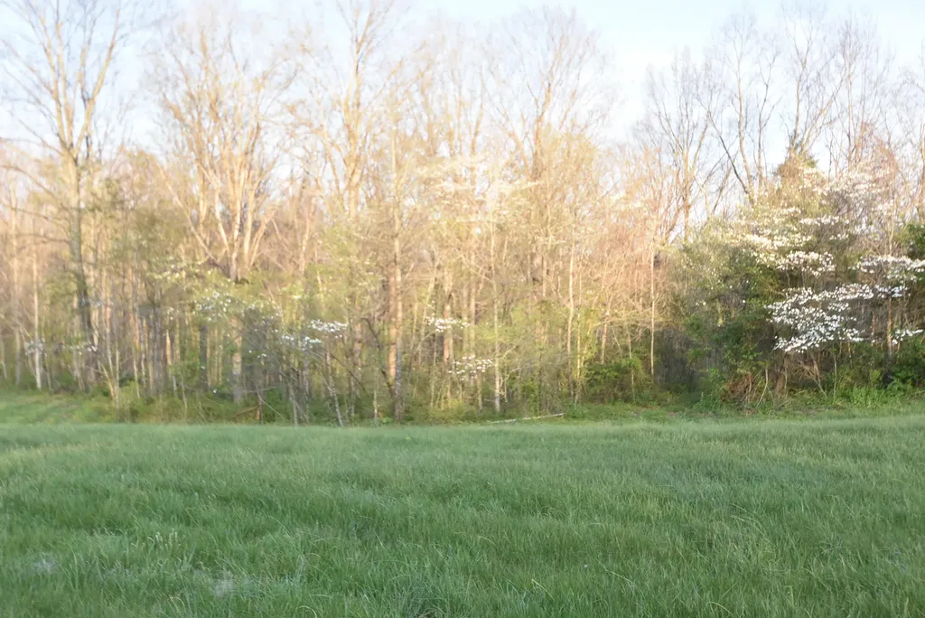 4555 Ky-433 Mackville KY 40040
