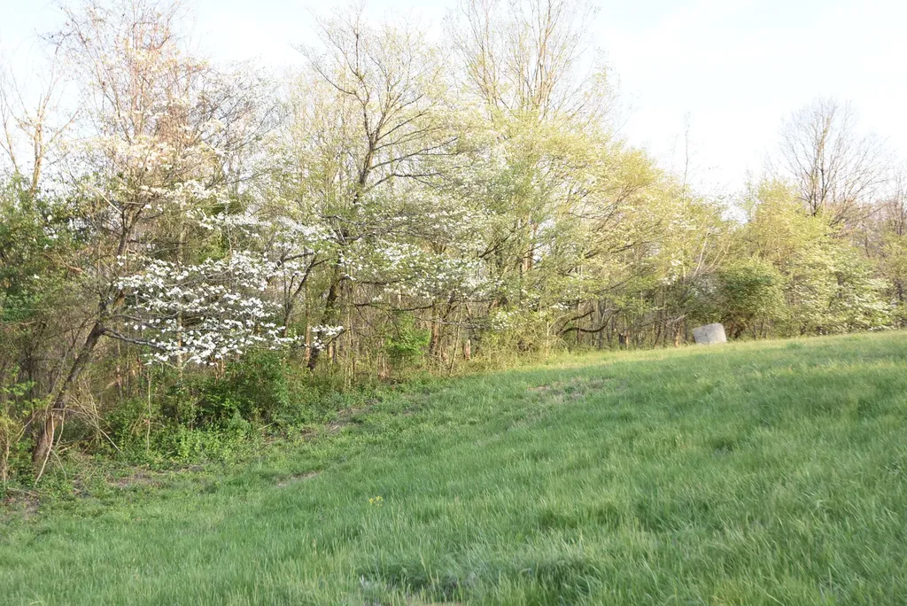 4555 Ky-433 Mackville KY 40040