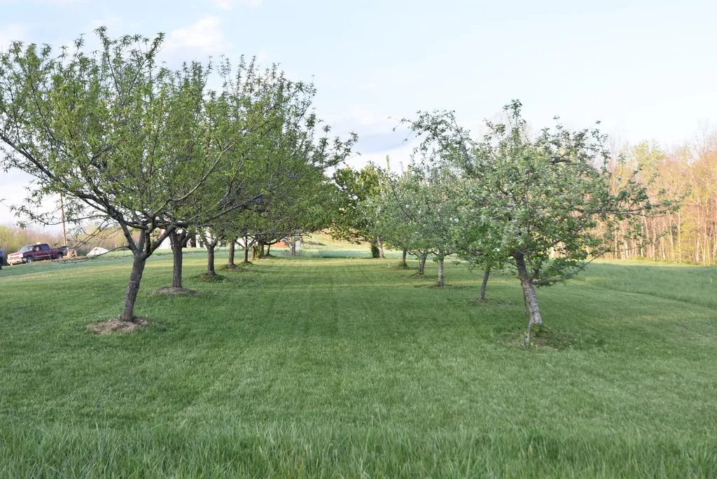 4555 Ky-433 Mackville KY 40040