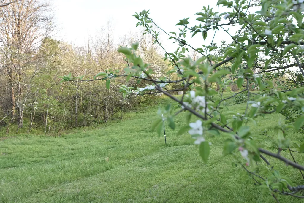4555 Ky-433 Mackville KY 40040