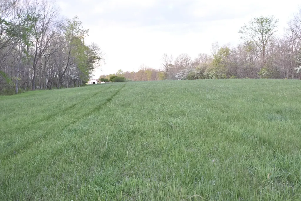 4555 Ky-433 Mackville KY 40040