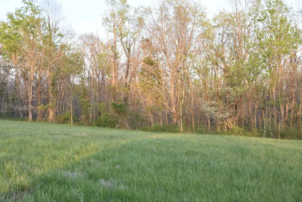 4555 Ky-433 Mackville KY 40040
