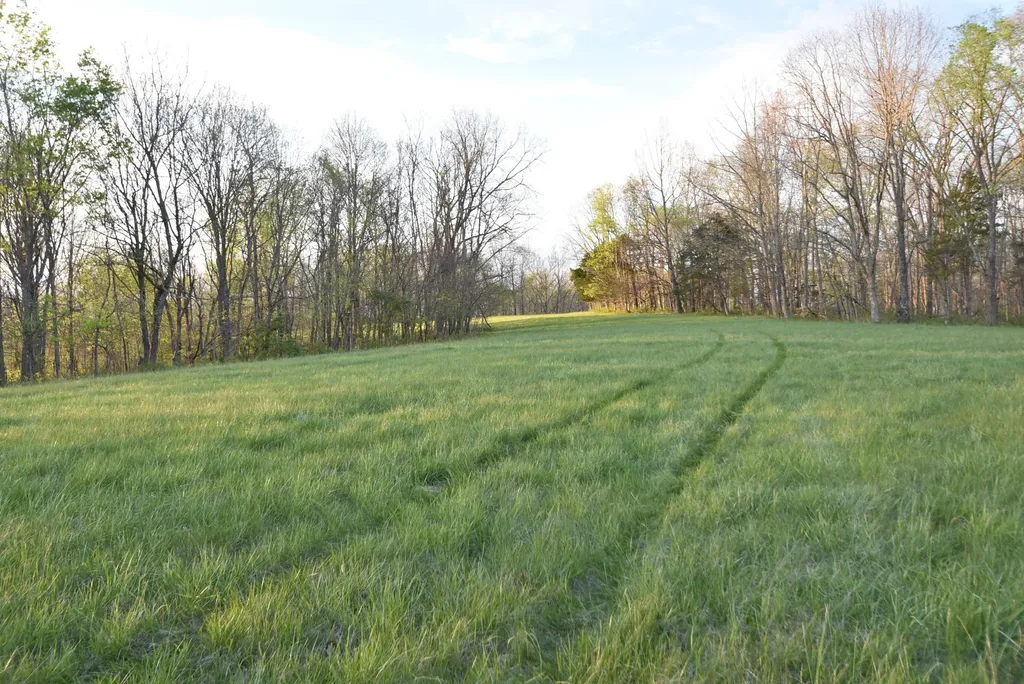 4555 Ky-433 Mackville KY 40040