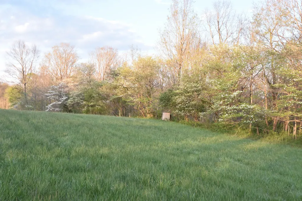 4555 Ky-433 Mackville KY 40040