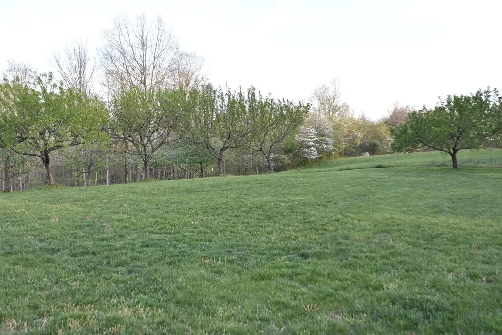 4555 Ky-433 Mackville KY 40040