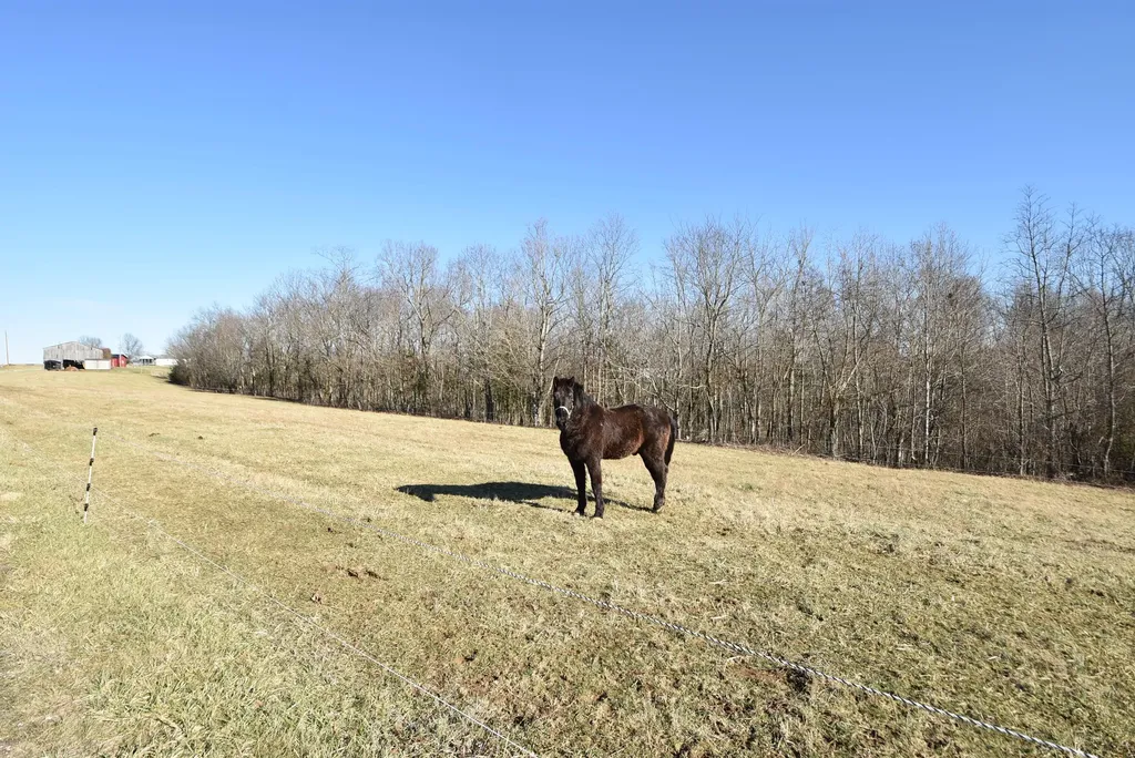 4555 Ky-433 Mackville KY 40040