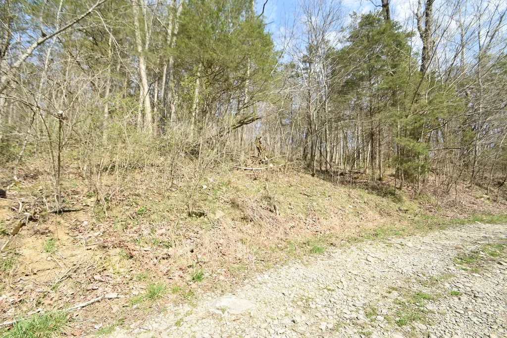 4555 Ky-433 Mackville KY 40040