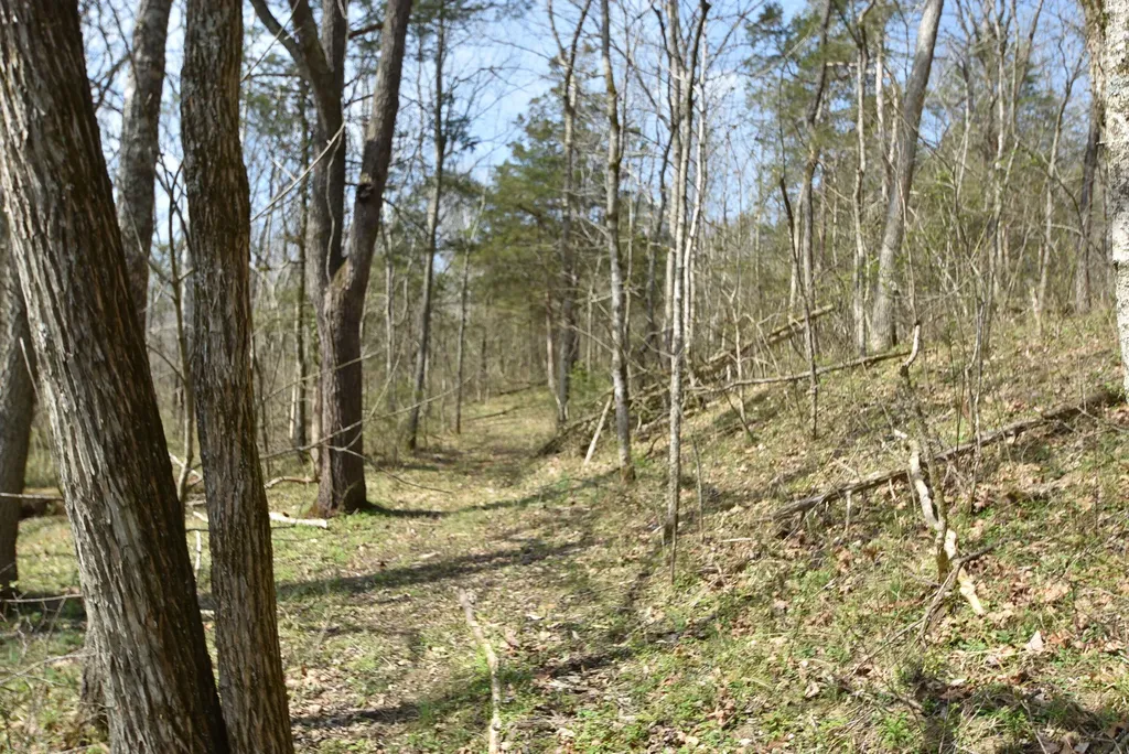 4555 Ky-433 Mackville KY 40040
