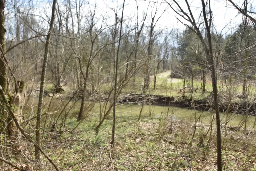 4555 Ky-433 Mackville KY 40040