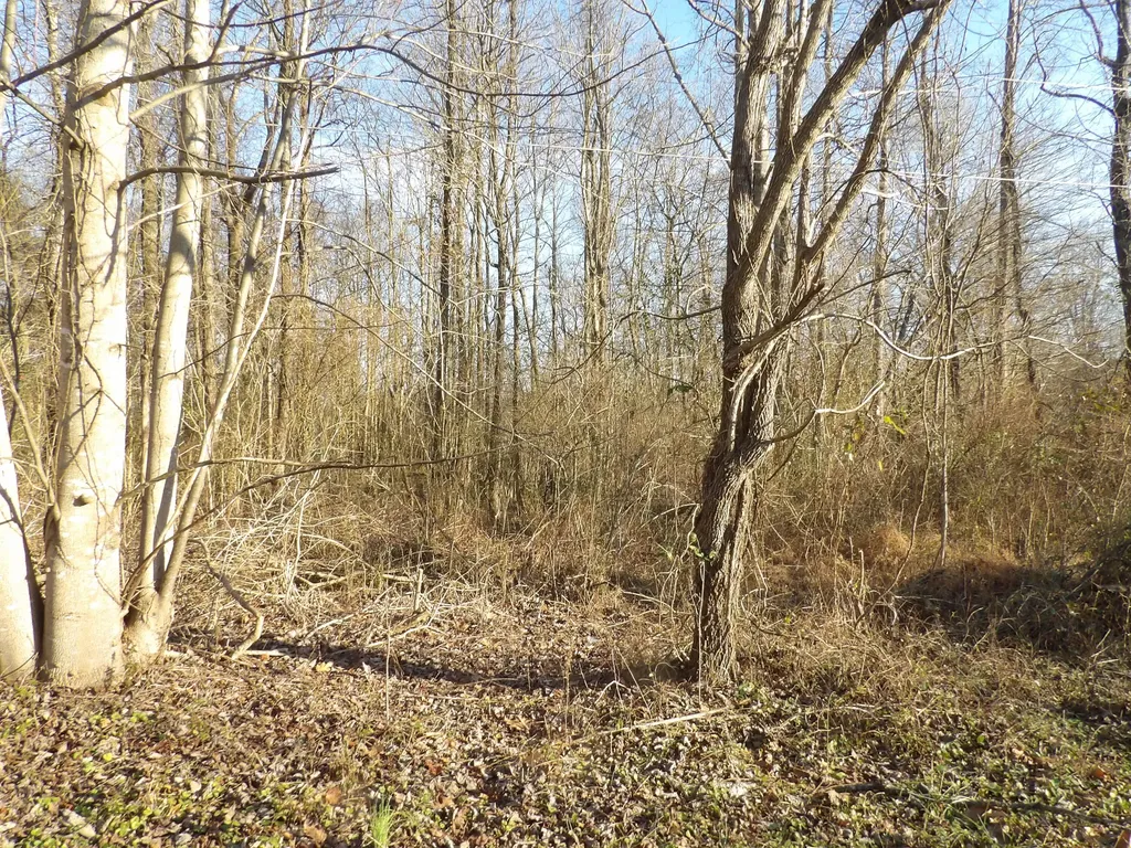 312 Blakely Lane Middlesboro KY 40965
