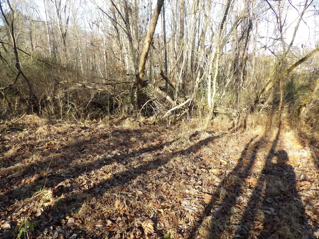 312 Blakely Lane Middlesboro KY 40965