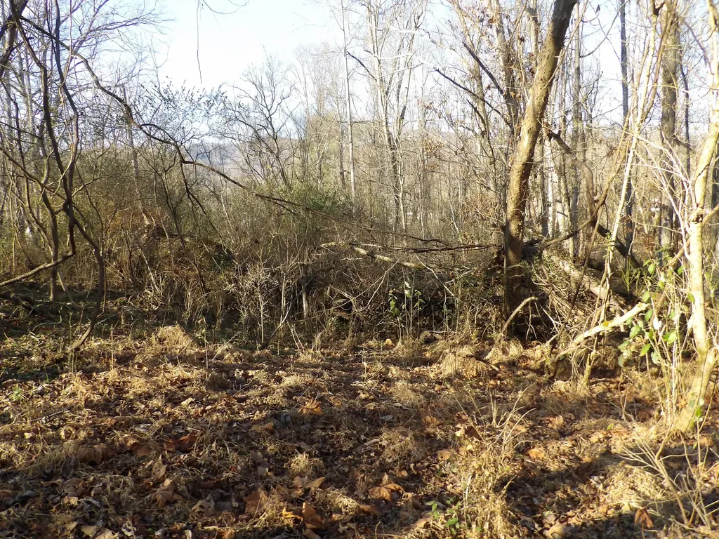 312 Blakely Lane Middlesboro KY 40965
