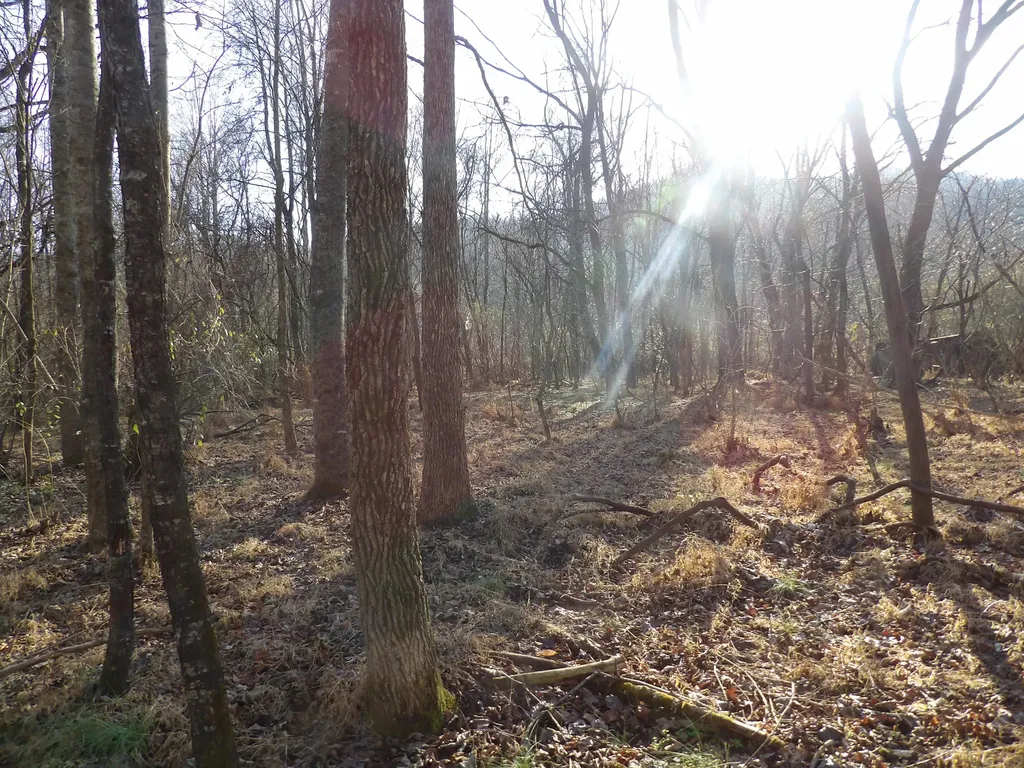 312 Blakely Lane Middlesboro KY 40965