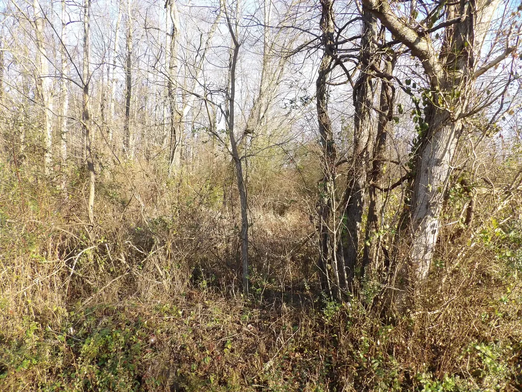 312 Blakely Lane Middlesboro KY 40965