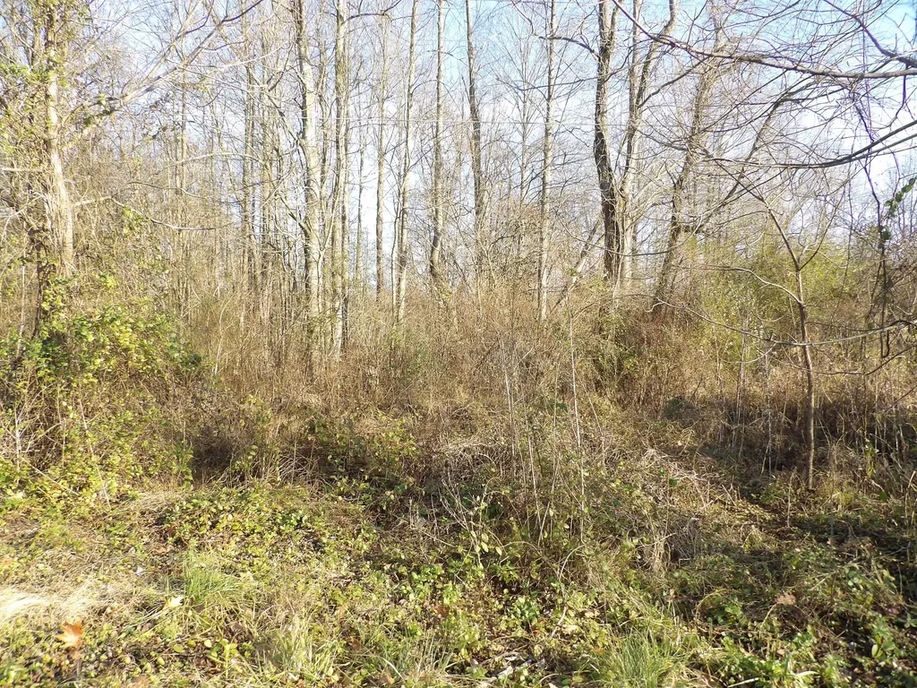 312 Blakely Lane Middlesboro KY 40965