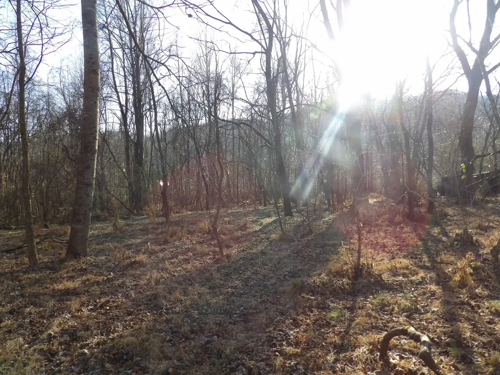 312 Blakely Lane Middlesboro KY 40965