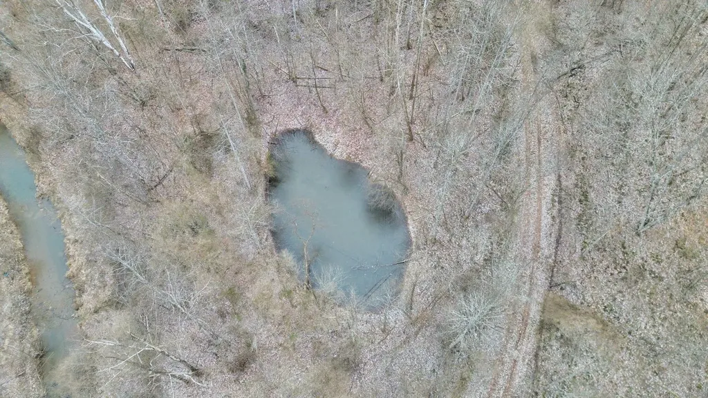 1439 Wolf Creek Middle Fork Road Pilgrim KY 41250