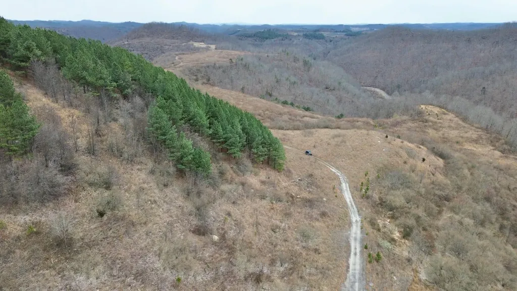 1439 Wolf Creek Middle Fork Road Pilgrim KY 41250