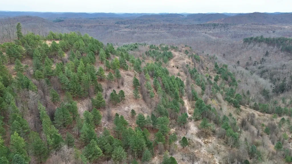 1439 Wolf Creek Middle Fork Road Pilgrim KY 41250