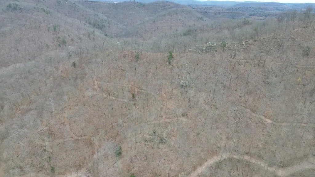 1439 Wolf Creek Middle Fork Road Pilgrim KY 41250