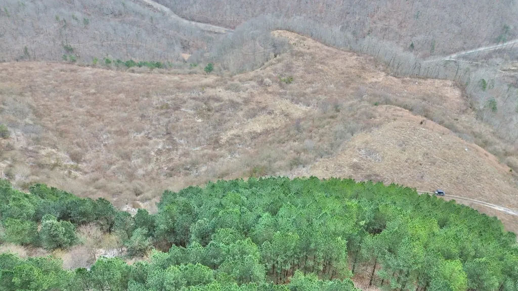 1439 Wolf Creek Middle Fork Road Pilgrim KY 41250