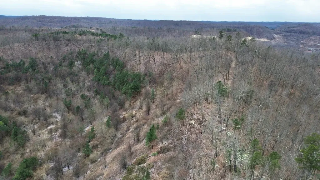 1439 Wolf Creek Middle Fork Road Pilgrim KY 41250