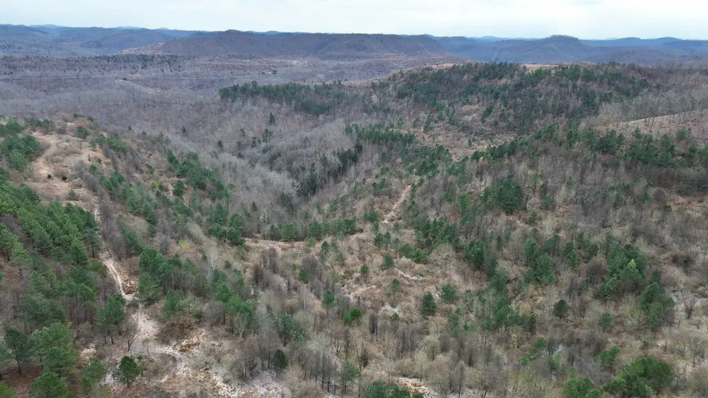 1439 Wolf Creek Middle Fork Road Pilgrim KY 41250