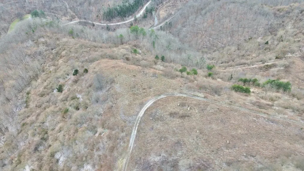 1439 Wolf Creek Middle Fork Road Pilgrim KY 41250