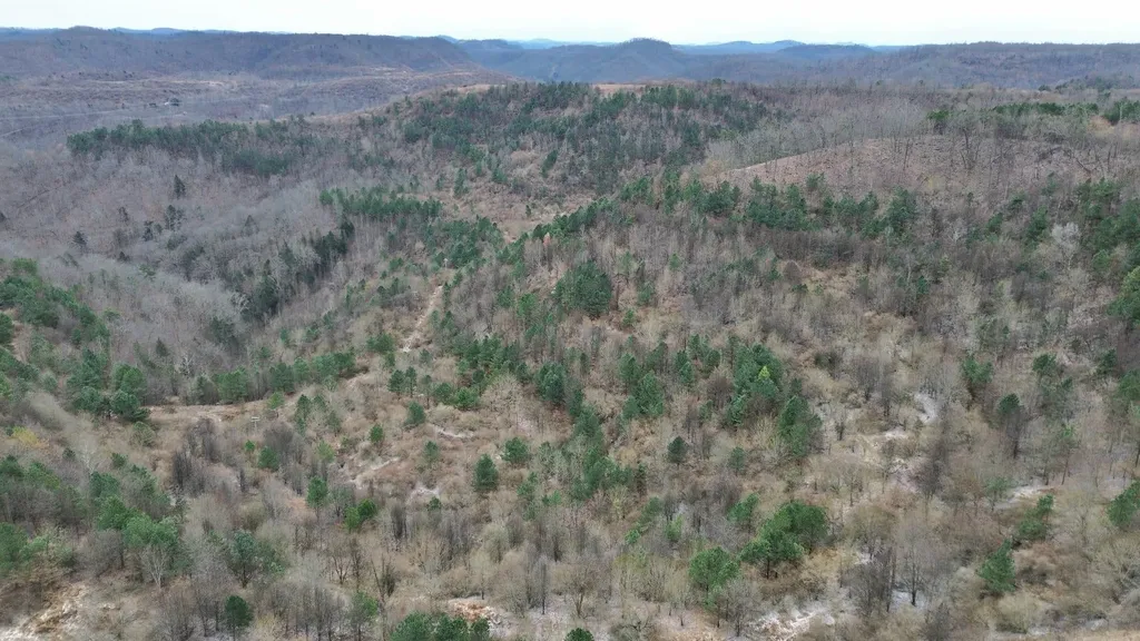 1439 Wolf Creek Middle Fork Road Pilgrim KY 41250