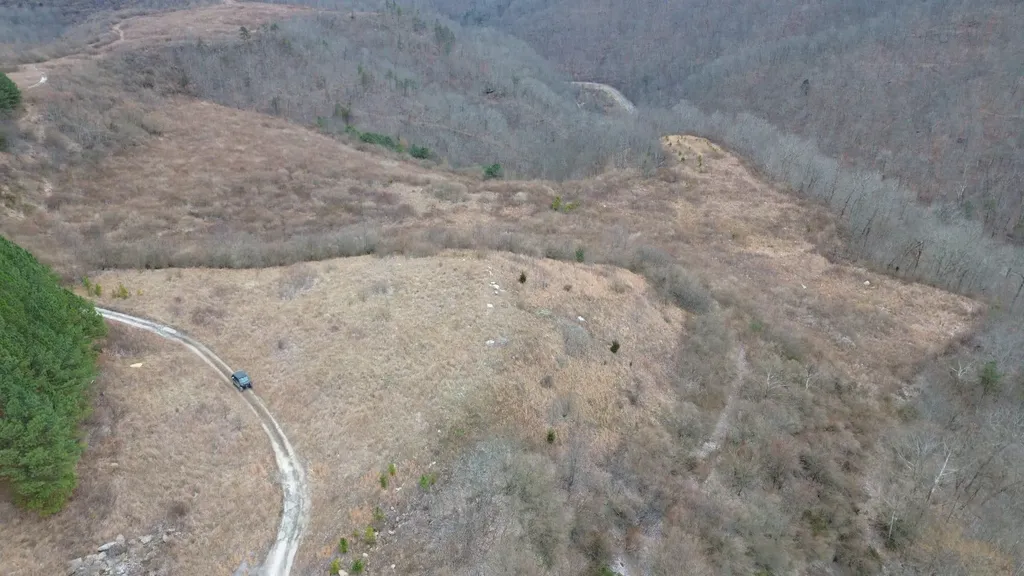 1439 Wolf Creek Middle Fork Road Pilgrim KY 41250