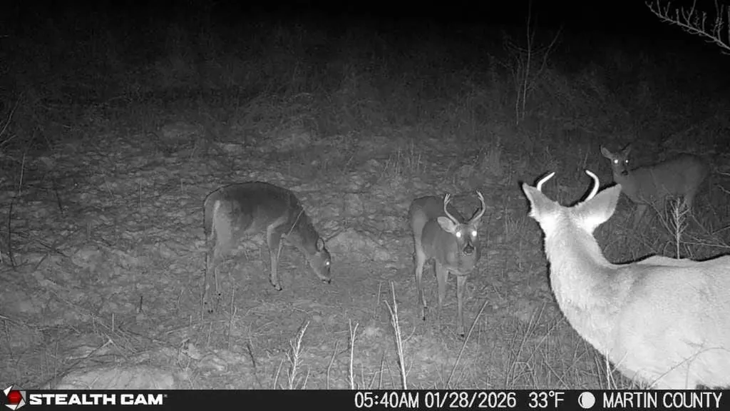 1439 Wolf Creek Middle Fork Road Pilgrim KY 41250
