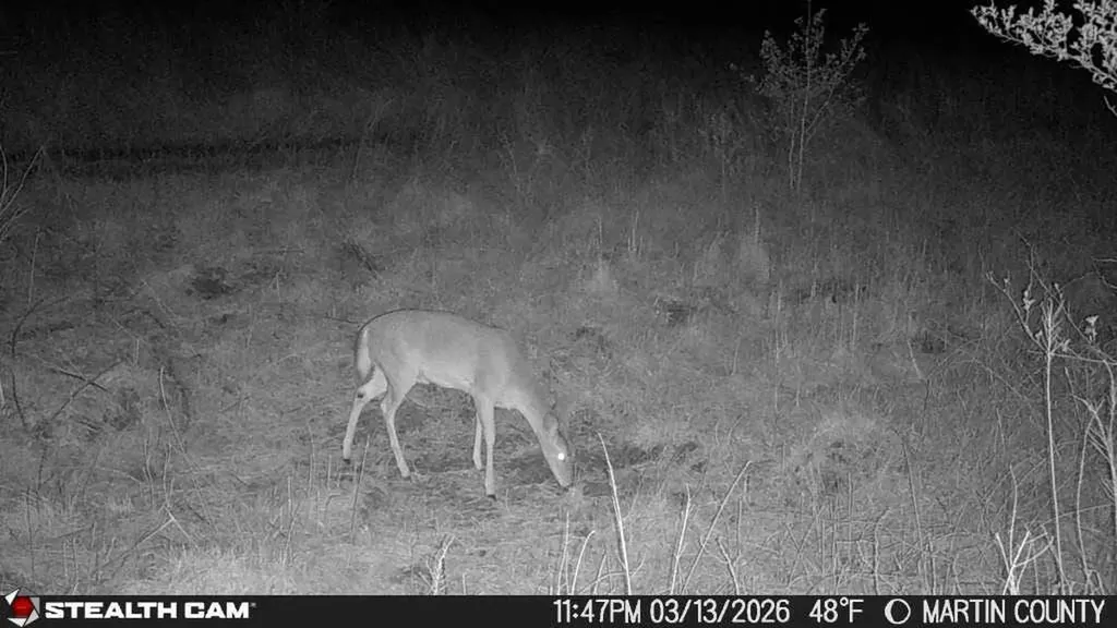 1439 Wolf Creek Middle Fork Road Pilgrim KY 41250