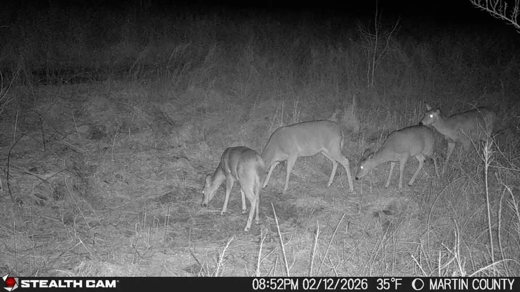 1439 Wolf Creek Middle Fork Road Pilgrim KY 41250