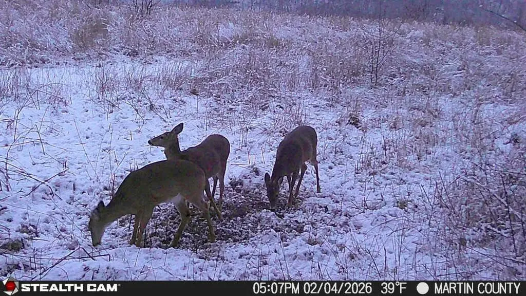 1439 Wolf Creek Middle Fork Road Pilgrim KY 41250