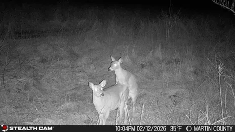 1439 Wolf Creek Middle Fork Road Pilgrim KY 41250