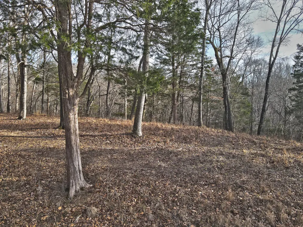 5 Carson Road Russell Springs KY 42642