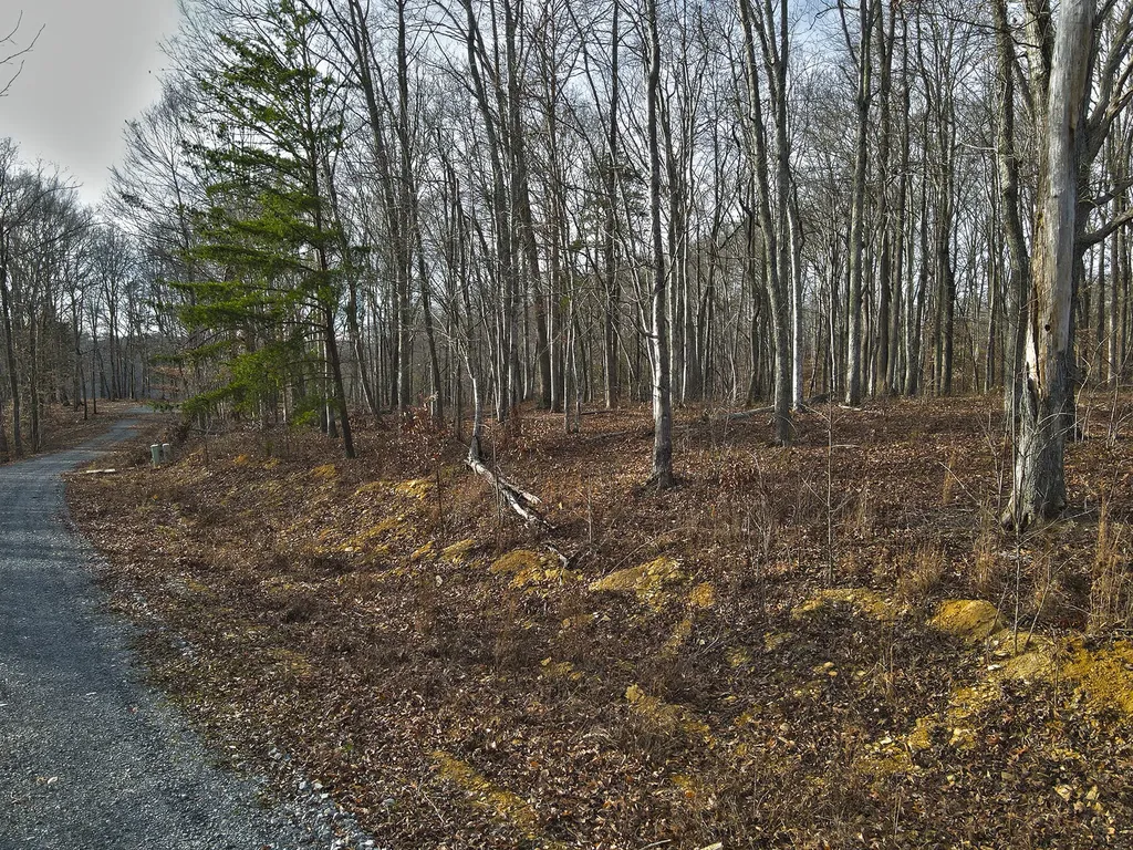 3 Carson Road Russell Springs KY 42642