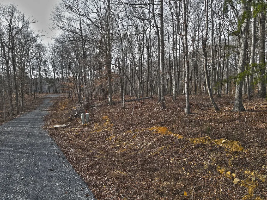 3 Carson Road Russell Springs KY 42642