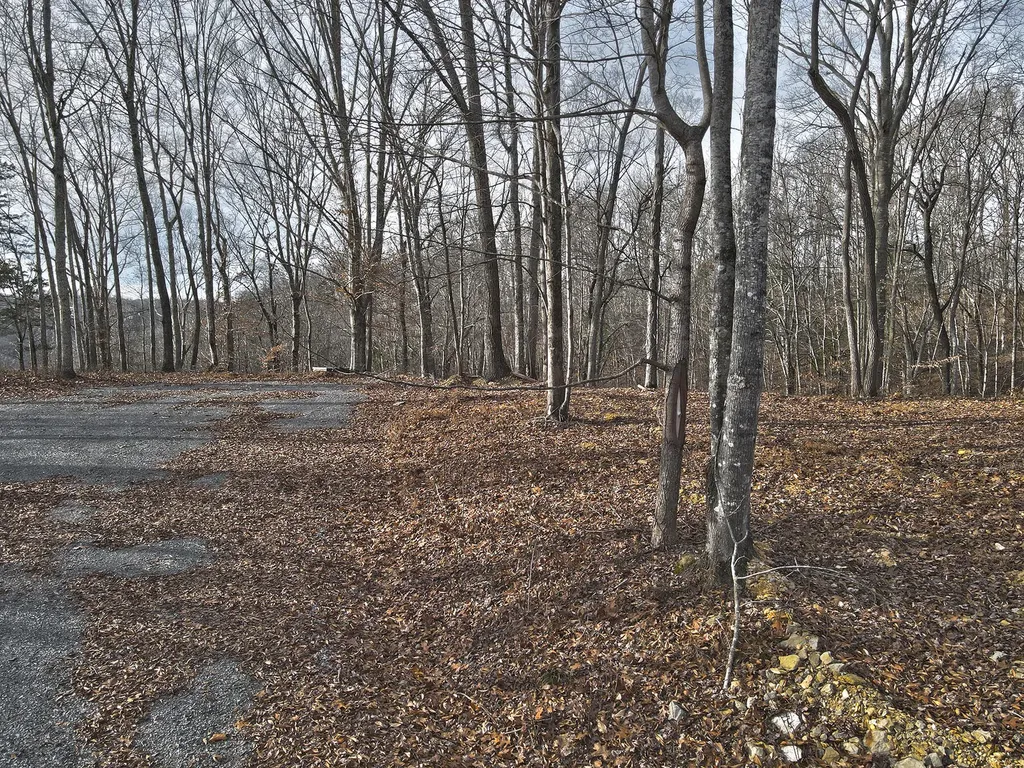 3 Carson Road Russell Springs KY 42642