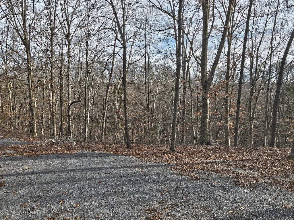 45 Carson Road Russell Springs KY 42642