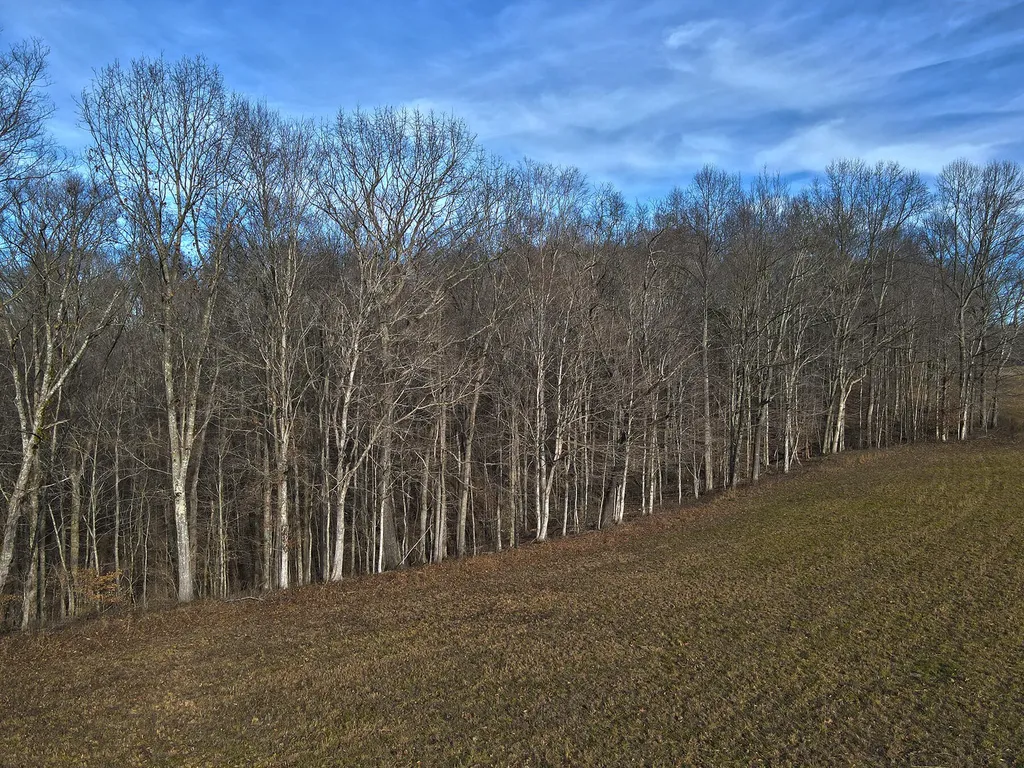 10 Dockery Road Russell Springs KY 42642