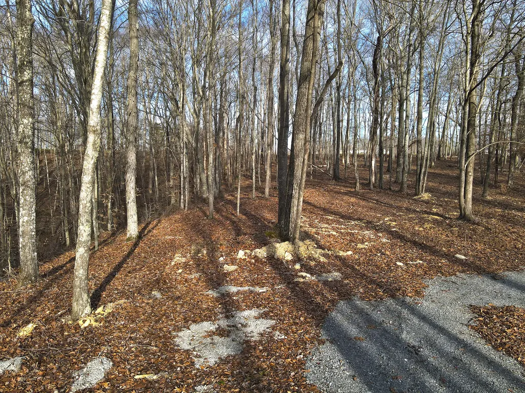 31 Piper Road Russell Springs KY 42642