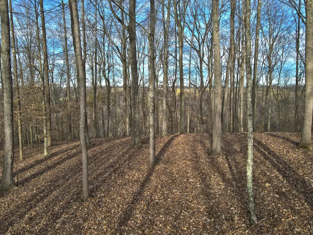31 Piper Road Russell Springs KY 42642