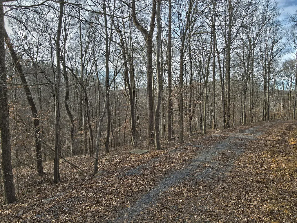 31 Piper Road Russell Springs KY 42642