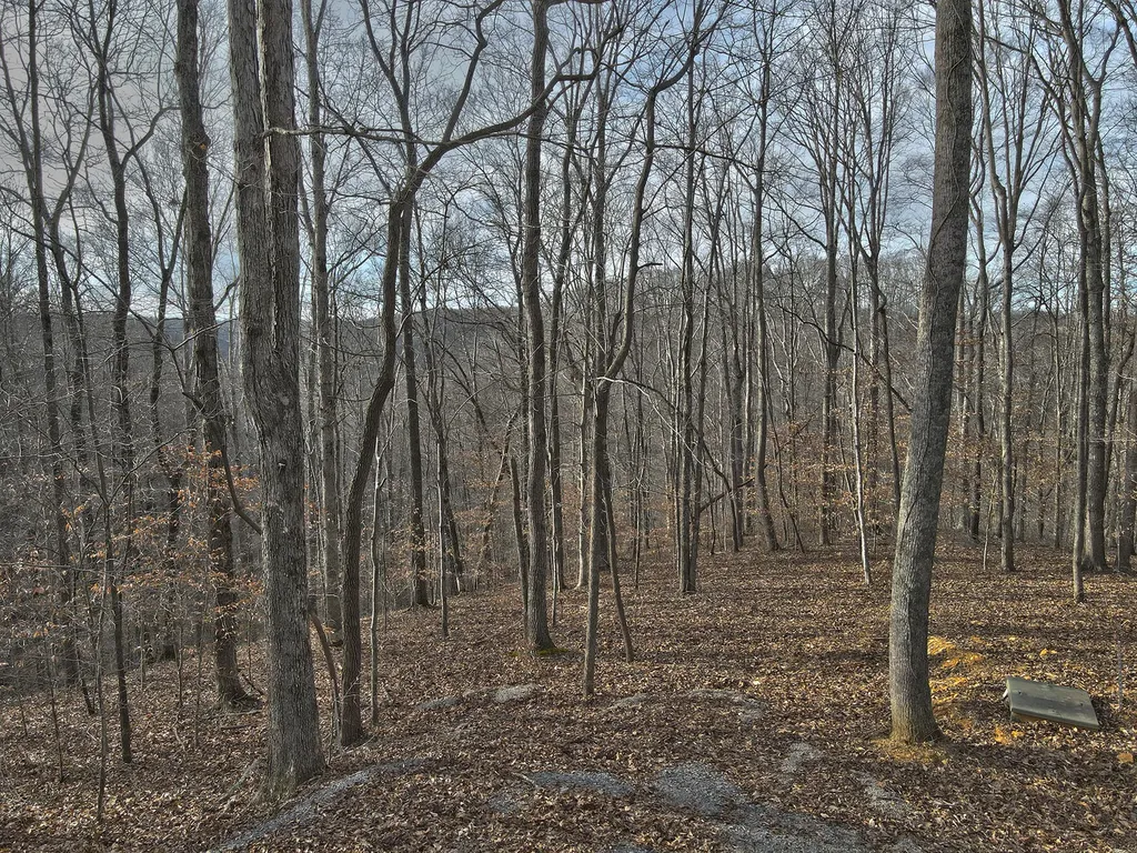 26 Piper Road Russell Springs KY 42642