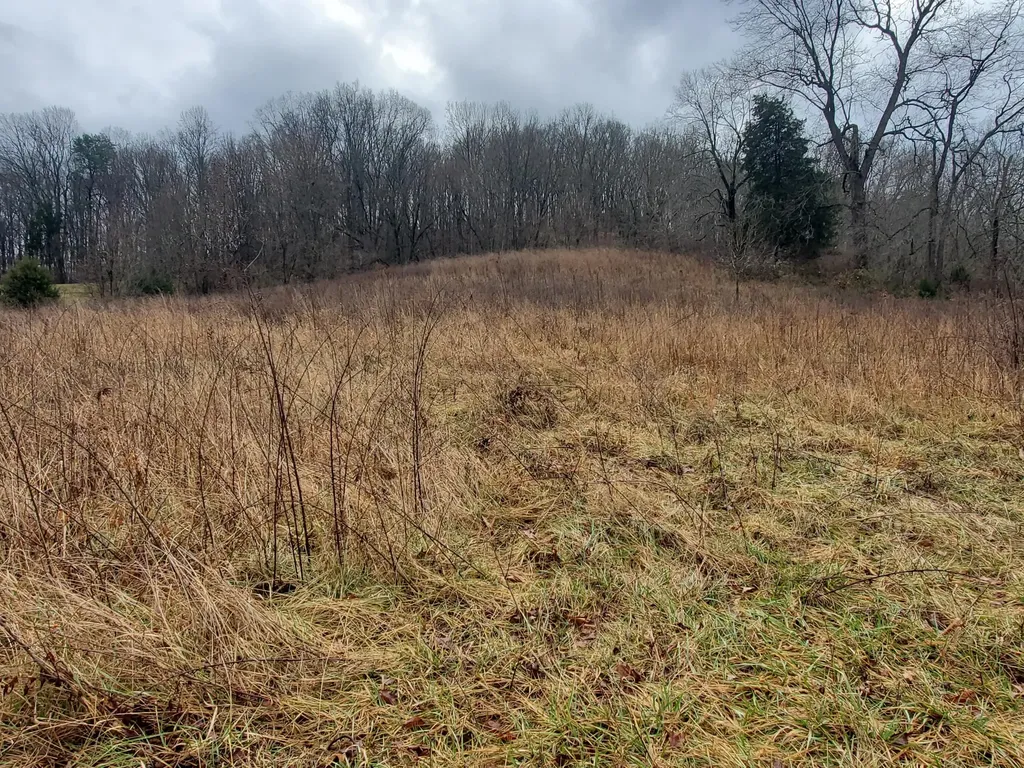 2165 State Highway 3246 Crab Orchard KY 40419