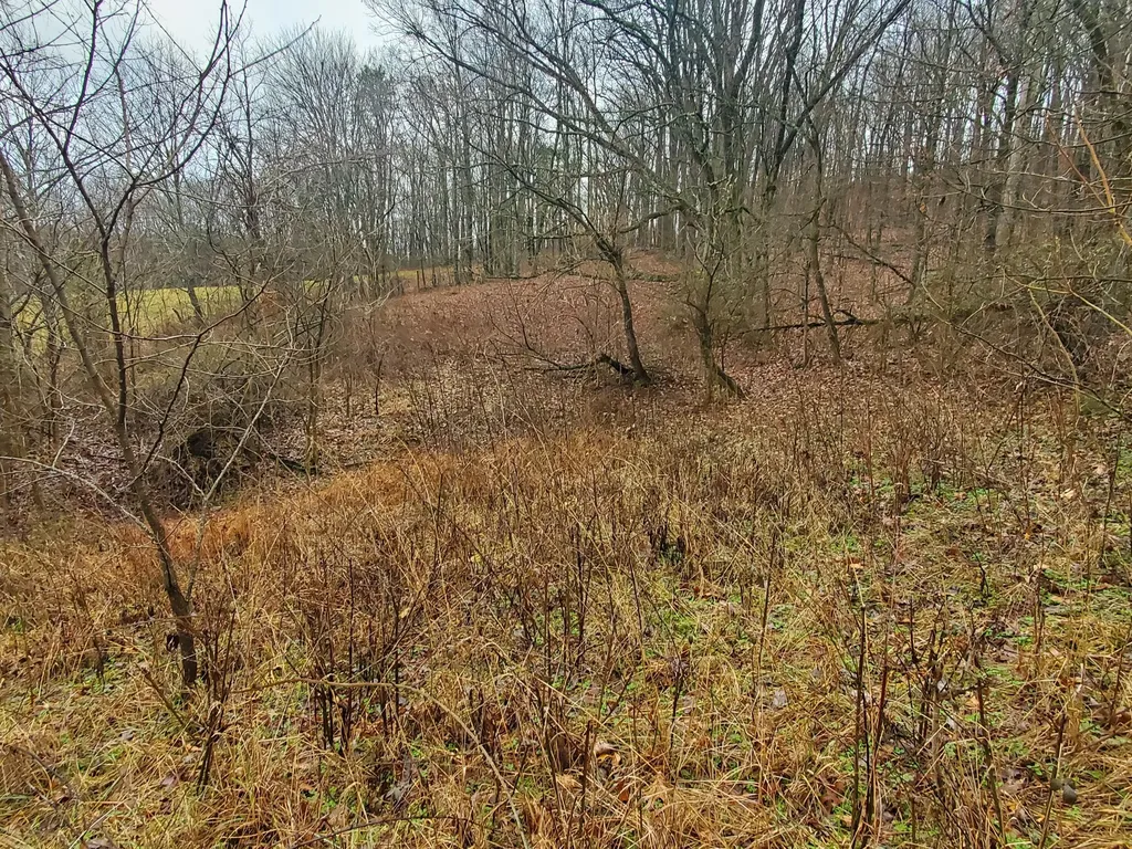 2165 State Highway 3246 Crab Orchard KY 40419