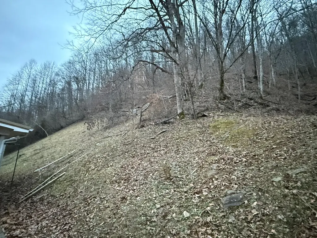 10361 State Highway 194 E Kimper KY 41539