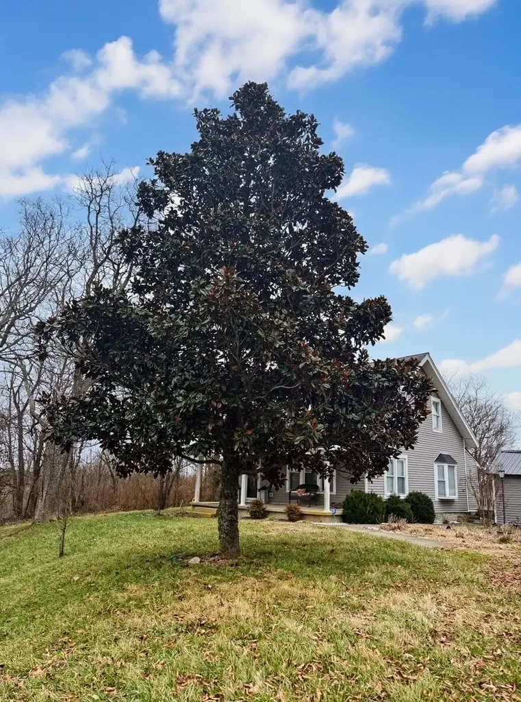 512 Brierly Ridge Road Mount Olivet KY 41064